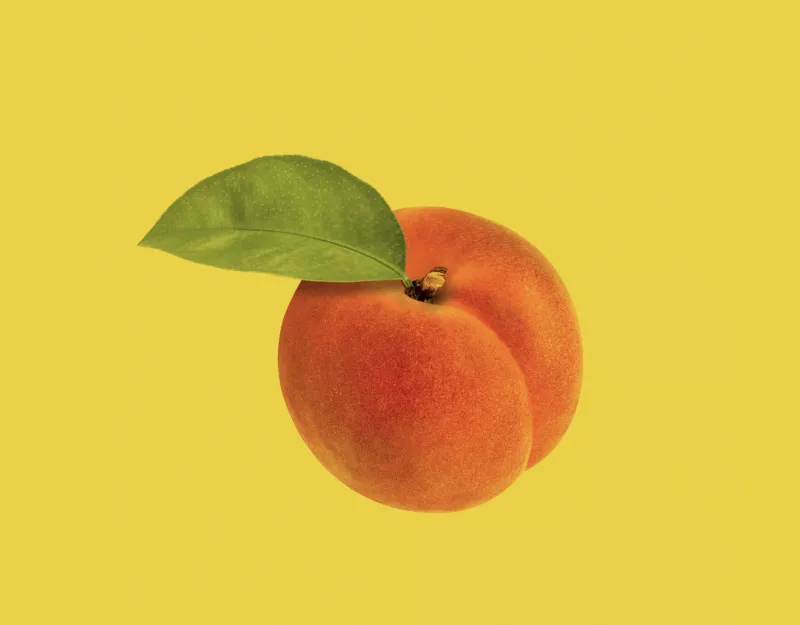 South Carolina and Georgia have more in common than peaches