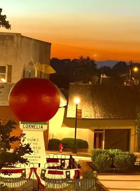 Now Georgia Photo of the Day