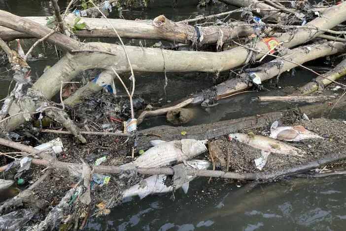 An extreme summer storm killed thousands of fish in the Chattahoochee River. Could it happen again?