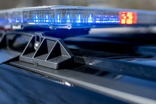 Police: Gainesville man tased after dangerous I-985 chase ends in ditch