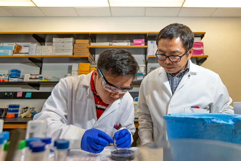 IMMCG researcher studying gene's relation to cardiovascular disease
