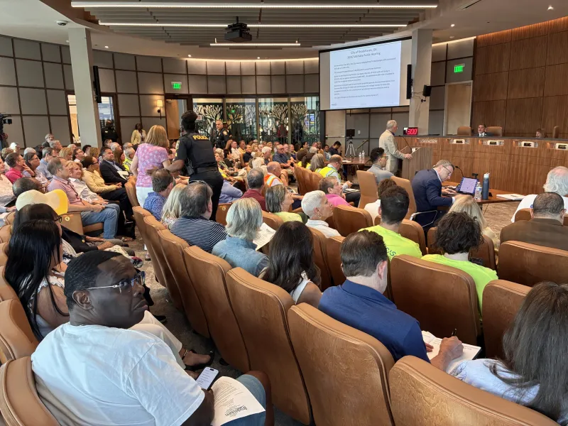 Brookhaven citizens protest millage rate increase at public hearing, but council approves it
