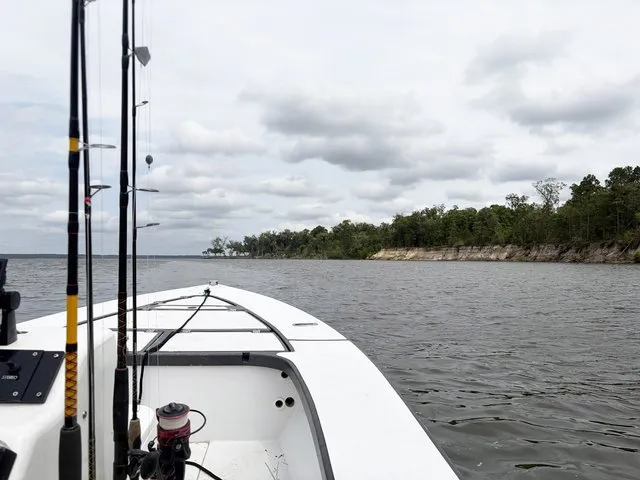 Planned coastline development on Laurel View River in Liberty County one of last in Southeast Georgia