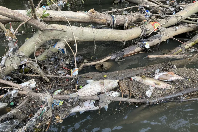 Above the Waterline: Atlanta's dirty rain problem