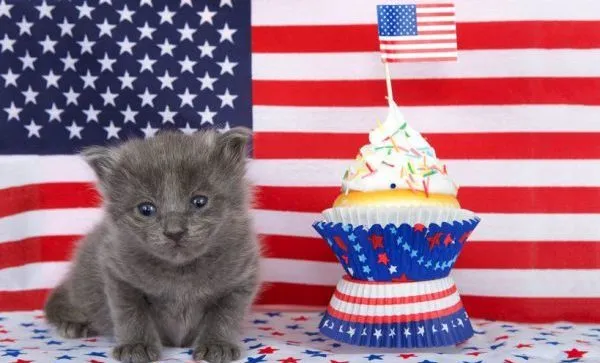 4th of July celebrations WITHOUT fireworks - drone & laser shows, parades, festivals, concerts and more