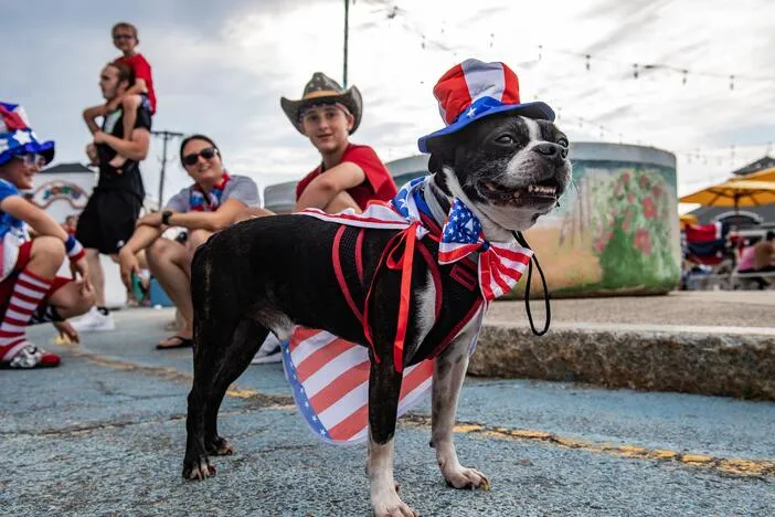 Tips for taking care of your pets when fireworks are booming