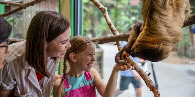 Wild Adventures ranks among nation's most affordable