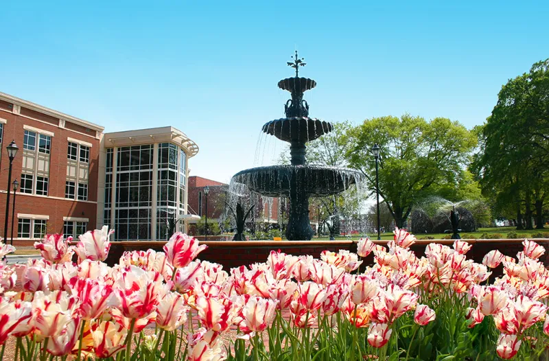 AU Online continues growth with new programs, record enrollment