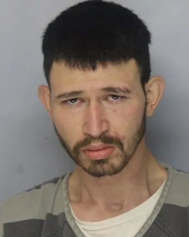 Gainesville man accused of assaulting deputy during possible mental health episode