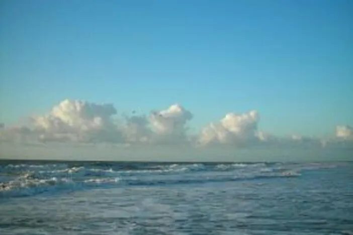 Georgia Today: Birthright citizenship; Lots of new Georgia laws; Tybee Island's beach erosion