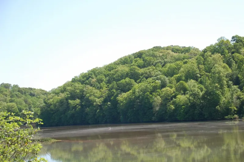 Sandy Springs Conservancy updates on proposed trails, park improvements, grants