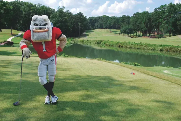 Jimmy Beck Joins Georgia Golf Staff