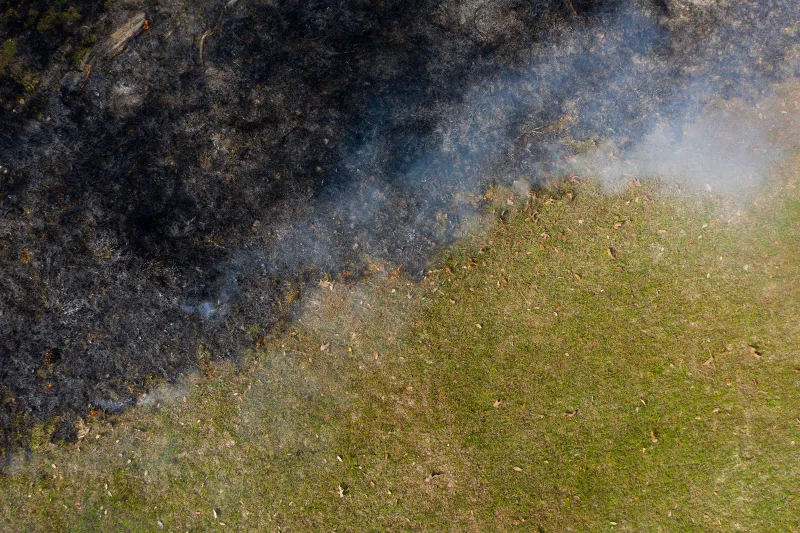 20% of fine particle pollution in southeastern U.S. comes from prescribed burns