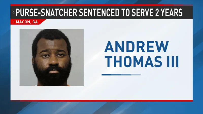 Self-represented Macon man sentenced to serve 2 years after Publix purse-snatching