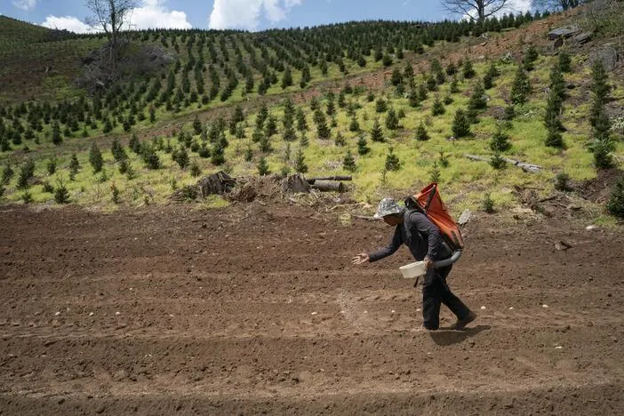 How a fertilizer shortage caused by the Iran war could affect U.S. food prices