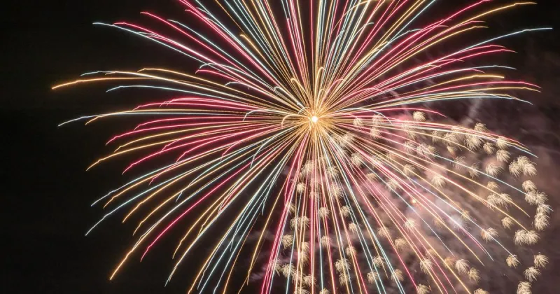 Fireworks and frightened pets: How to prevent a Fourth of July disappearance