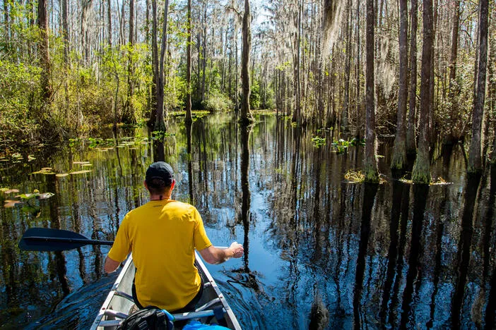 Okefenokee land saved from mining will open to the public