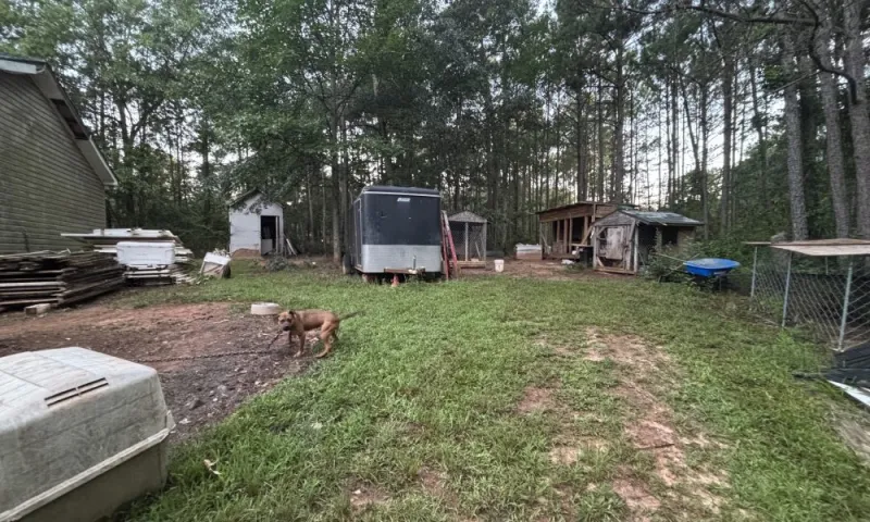 Georgia Agriculture Commissioner Announces Seizure of 23 Dogs, Firearms, and Narcotics in Crawford County
