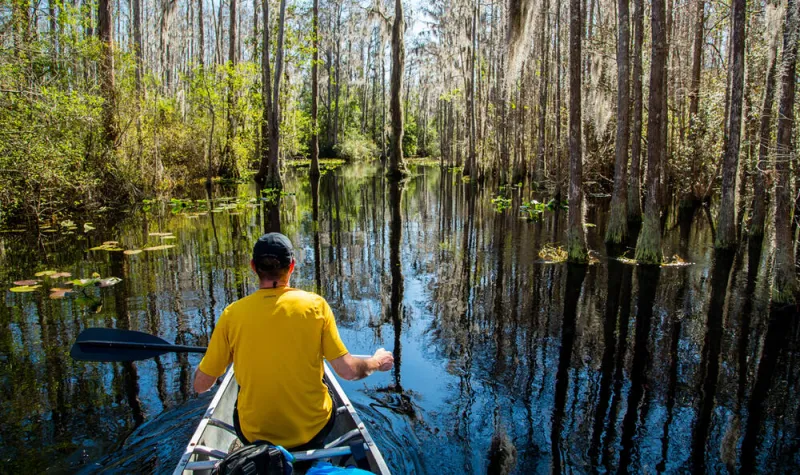 Okefenokee land saved from mining will open to the public