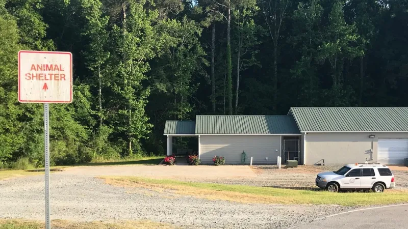 Leaders temporarily close Monroe County Animal Shelter citing staff shortage, maintenance