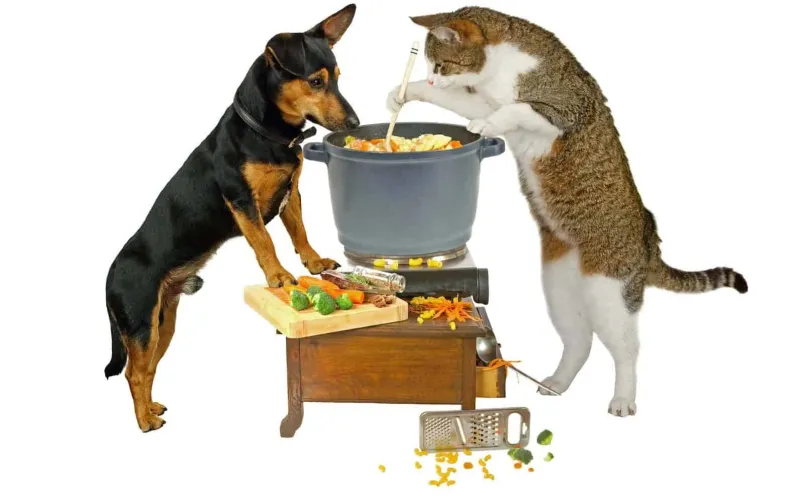 FREE drive-thru pet food pantry for Dekalb County residents on Friday, July 24th