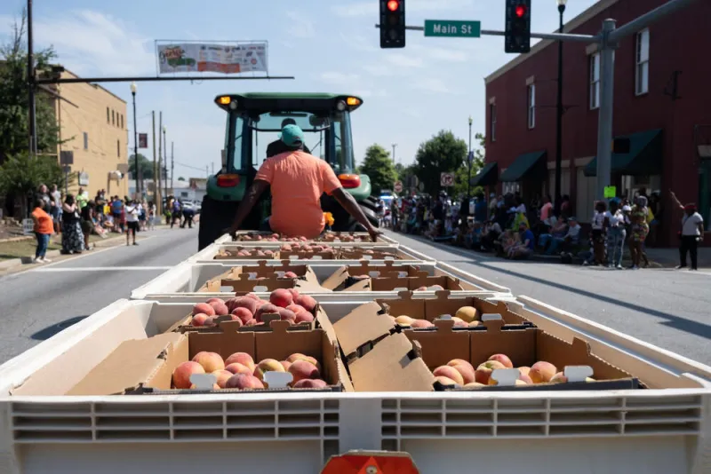 Survey aims to understand the financial wellbeing of Georgia farmers