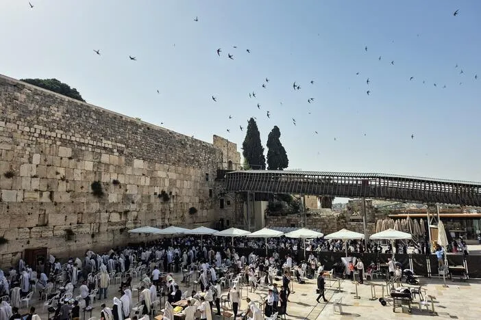 An Israeli paraglider tries to save migrating swifts that nest in the Western Wall