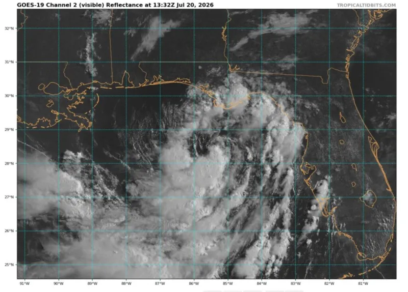 Tropical Depression Two crawling through eastern Gulf
