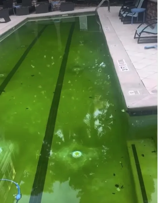 Gramercy at Buckhead residents claim cleanup efforts only scratch surface