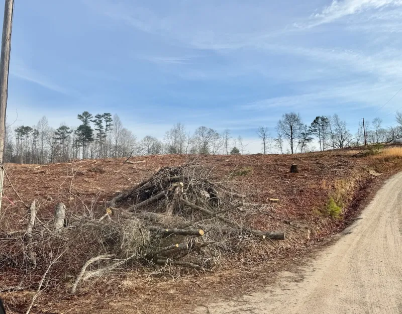 Baldwin sets hearings for revised Cook annexation proposal