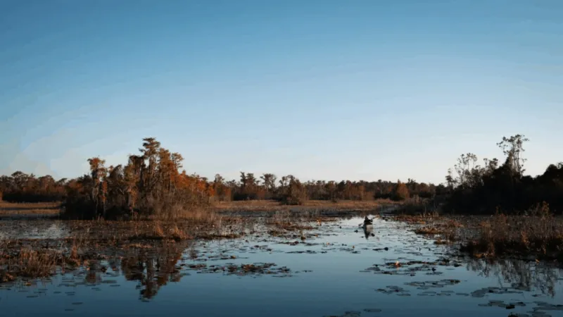 It's decision time for the Okefenokee Swamp's proposed World Heritage designation