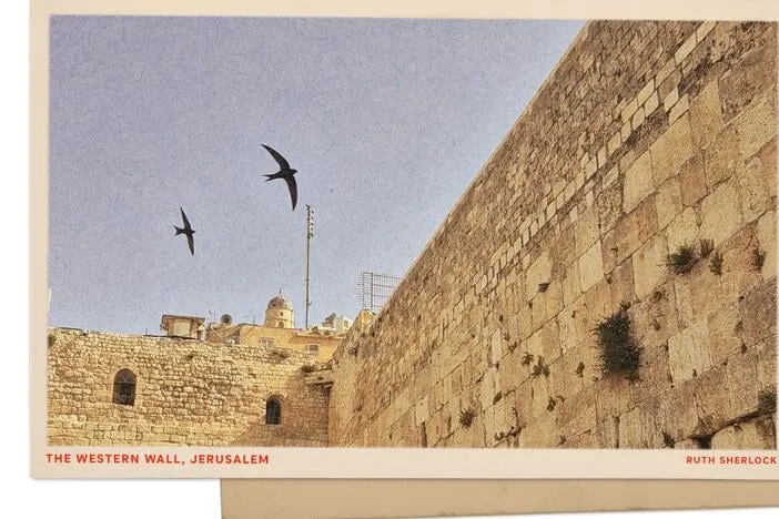 Greetings from Jerusalem, whose holy sites host some of the oldest colonies of nesting swifts