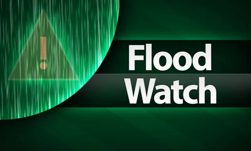 Flood Watch in effect through Friday night for much of North Georgia