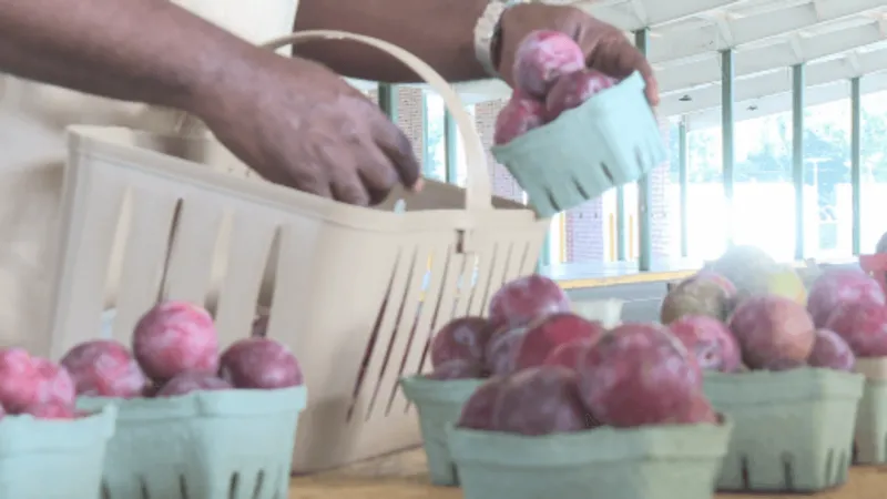 Middle Georgia farmers encourage shopping local while cyclosporiasis spreads across US