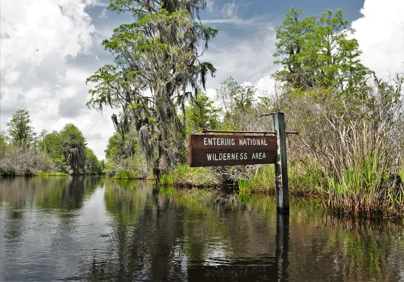 Okefenokee Swamp earns World Heritage status, joining world's natural wonders
