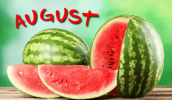 August in Atlanta: Top things to do this month