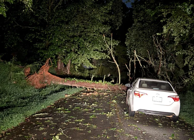 Storms topple trees, stranding motorists