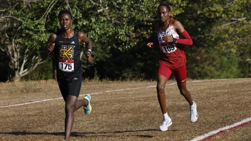 Owls Announce 2026 Cross Country Slate