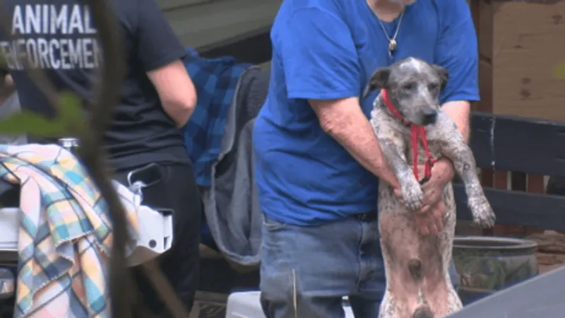 Operation Humane pulls 18 dogs from Twiggs County home after fostering grows out of hand