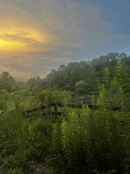 Now Georgia Photo of the Day