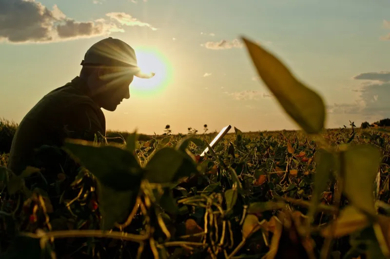 Why don't more farmers use cover crops? UGA research offers answers