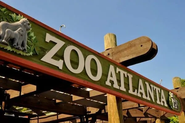 FREE Zoo Atlanta admission for residents & employees of Fulton County and City of Atlanta on Aug. 8th & 9th