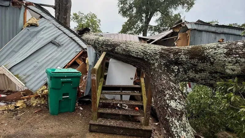 Storm causes downed power lines, fallen tree in Baldwin County neighborhood, no injuries