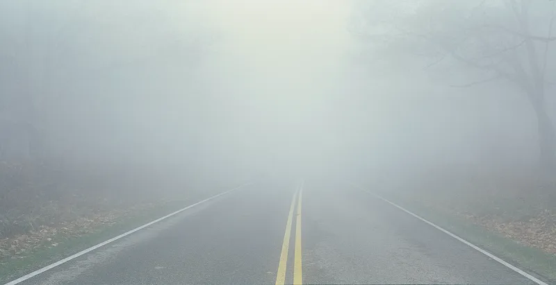 Dense fog advisory issued for Northeast Georgia through 10 a.m. Monday