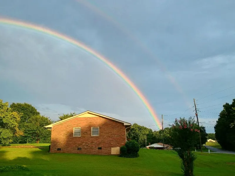 Now Georgia Photo of the Day