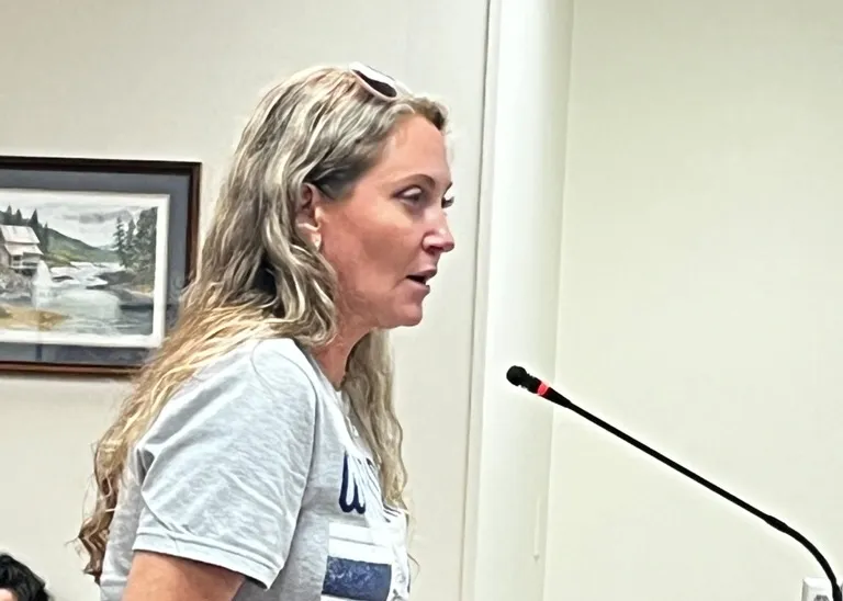 Residents urge White County leaders to protect Mount Yonah views from proposed gas station
