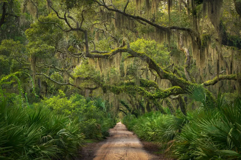 Editor's Journal: Cumberland Island holds one of America's most treasured love stories