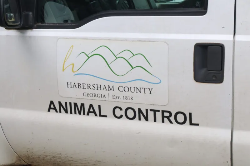 Demorest delays vote on county animal control agreement