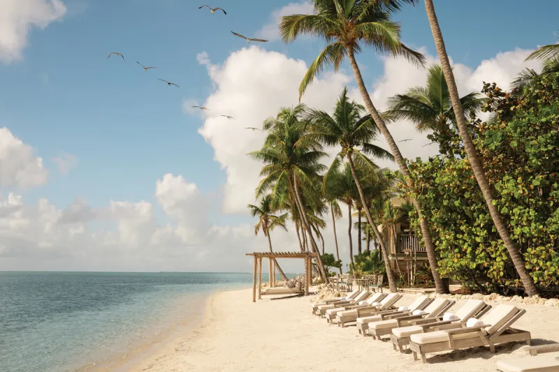 Disconnect from the world and reconnect with your better half at Little Palm Island