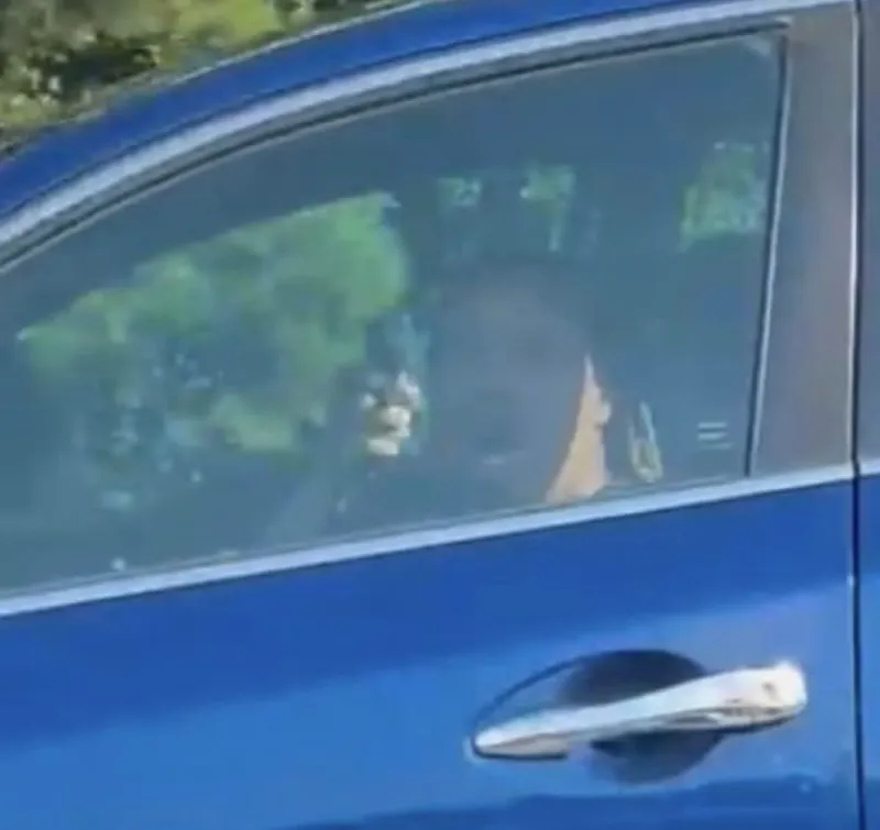 Driver points gun during East Alabama road rage incident